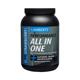 LAMBERTS Performance All In One 1450gr - Strawberry