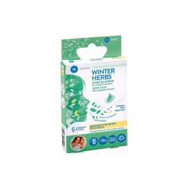 MEDISEI Winter Herbs Αρωματικό Επίθεμα με Ευκάλυπτο & Μέντα 6 Τεμάχια