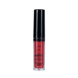 LAVISH CARE Matte Liquid Lipcolor No16 6ml