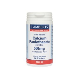 LAMBERTS Calcium Pantothenate 500mg 60 Ταμπλέτες